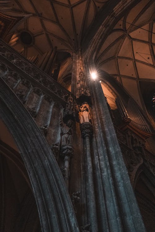 Gratis arkivbilde med gotisk, interiør, katedral