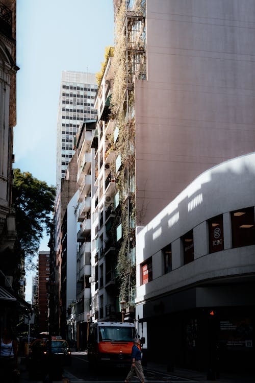 Buildings around Street in Town