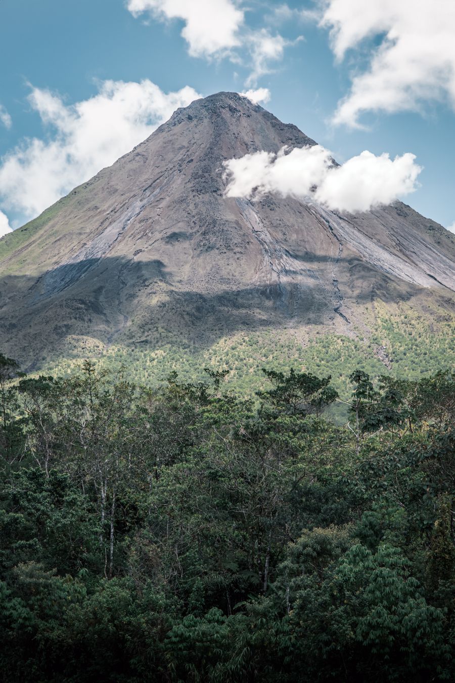 Volcan Arenal Parc National sentier El Silencio jungle