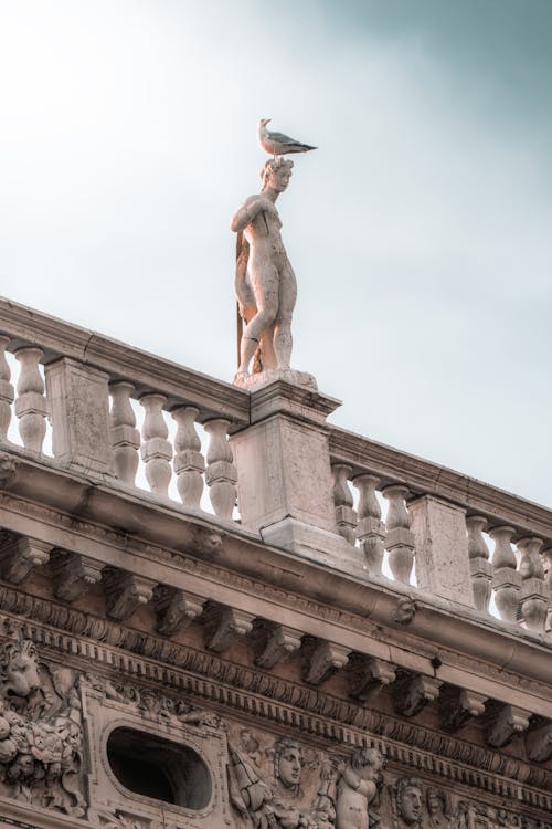 A Bird Sitting on Top of a Sculpture on the Roof of the Marciana Library in Venice, Italy