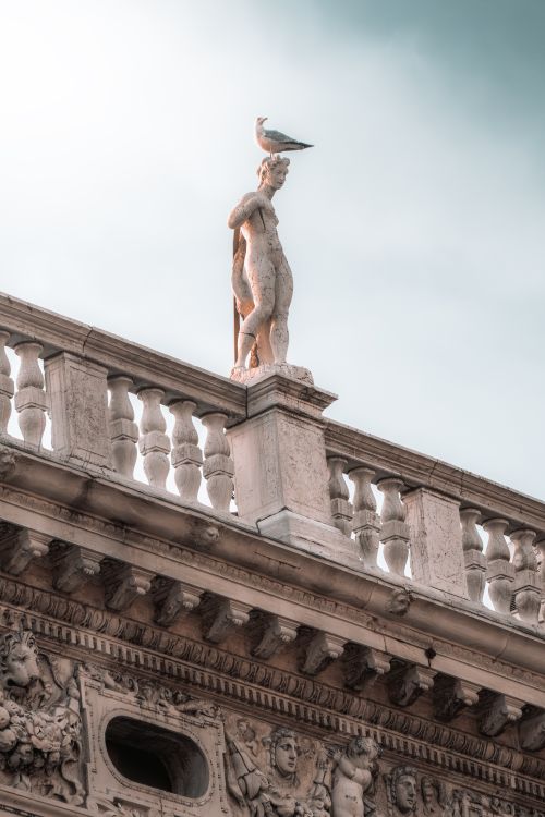 Free A seagull perched on a statue atop a historic building in Venice's renowned St. Mark's Square. Stock Photo