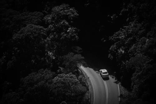 Aerial Photo of Cars Driving on a Forest Road