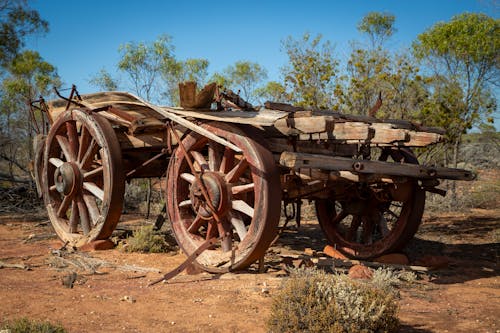 Wooden Trailer in Countryside