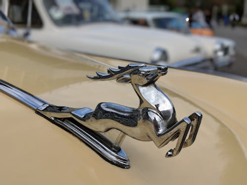 Free stock photo of car, close-up, deer