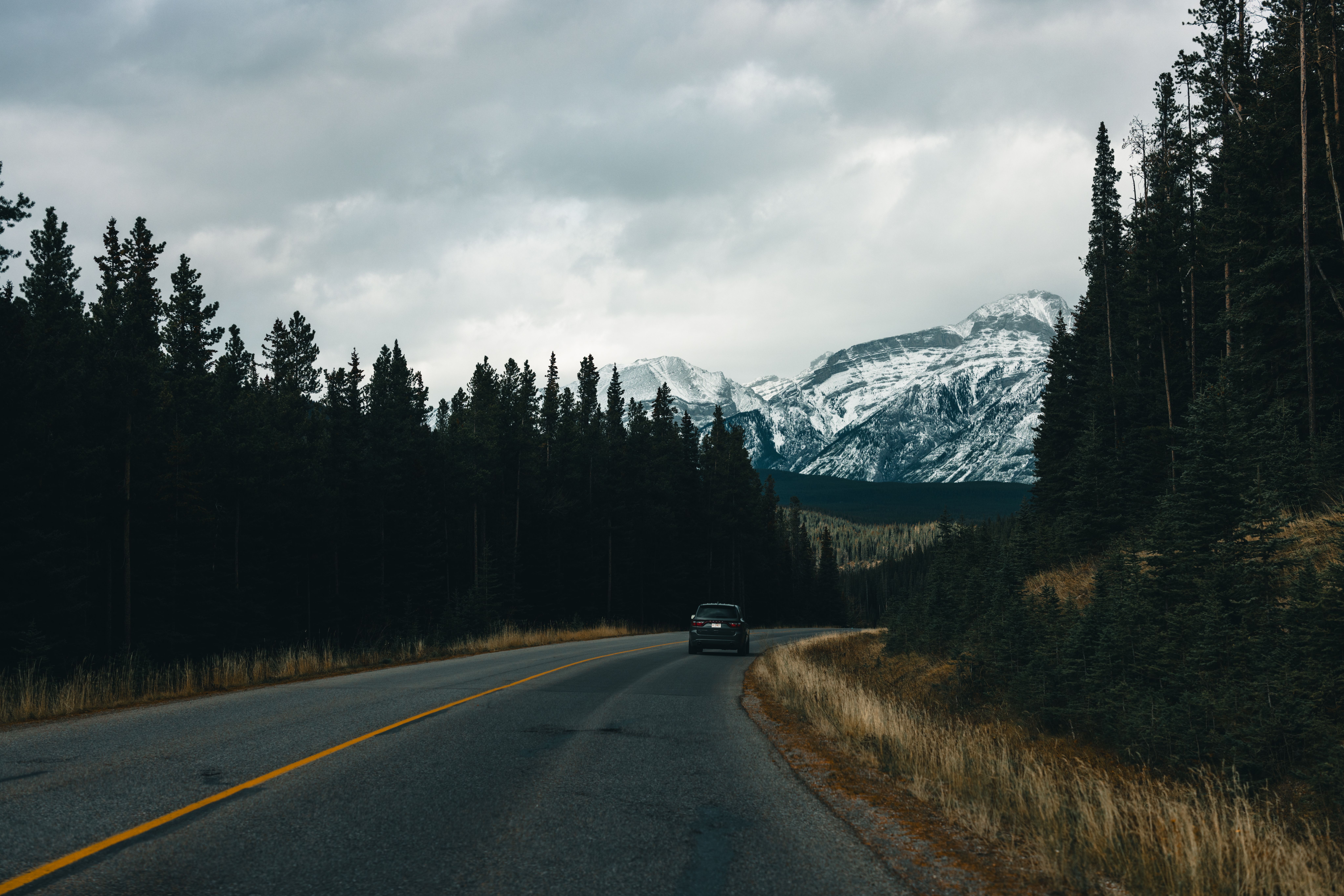 pexels photo 19346357