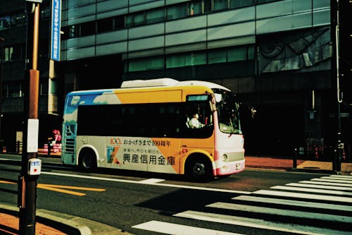 Bus on Street in City