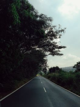 Experience tranquility on a secluded rural road surrounded by lush greenery and serene skies.