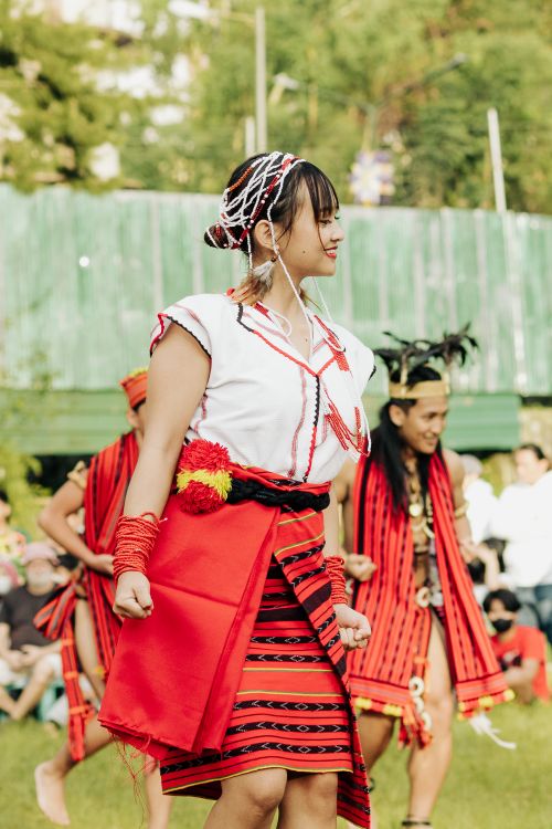 Free Vibrant cultural festival showcasing traditional dances and clothing outdoors in summer. Stock Photo
