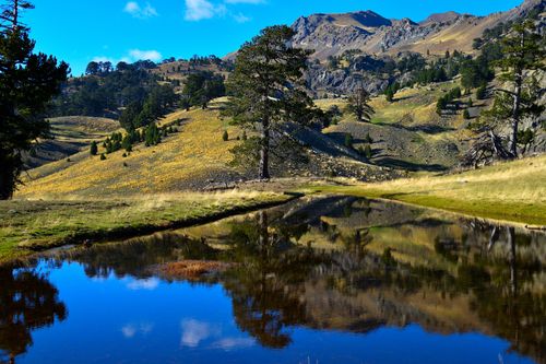 Free alpine lake  Stock Photo