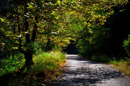 Free Road to darkness Stock Photo