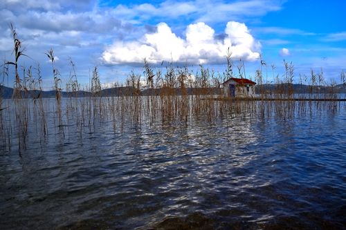 Free the island home Stock Photo
