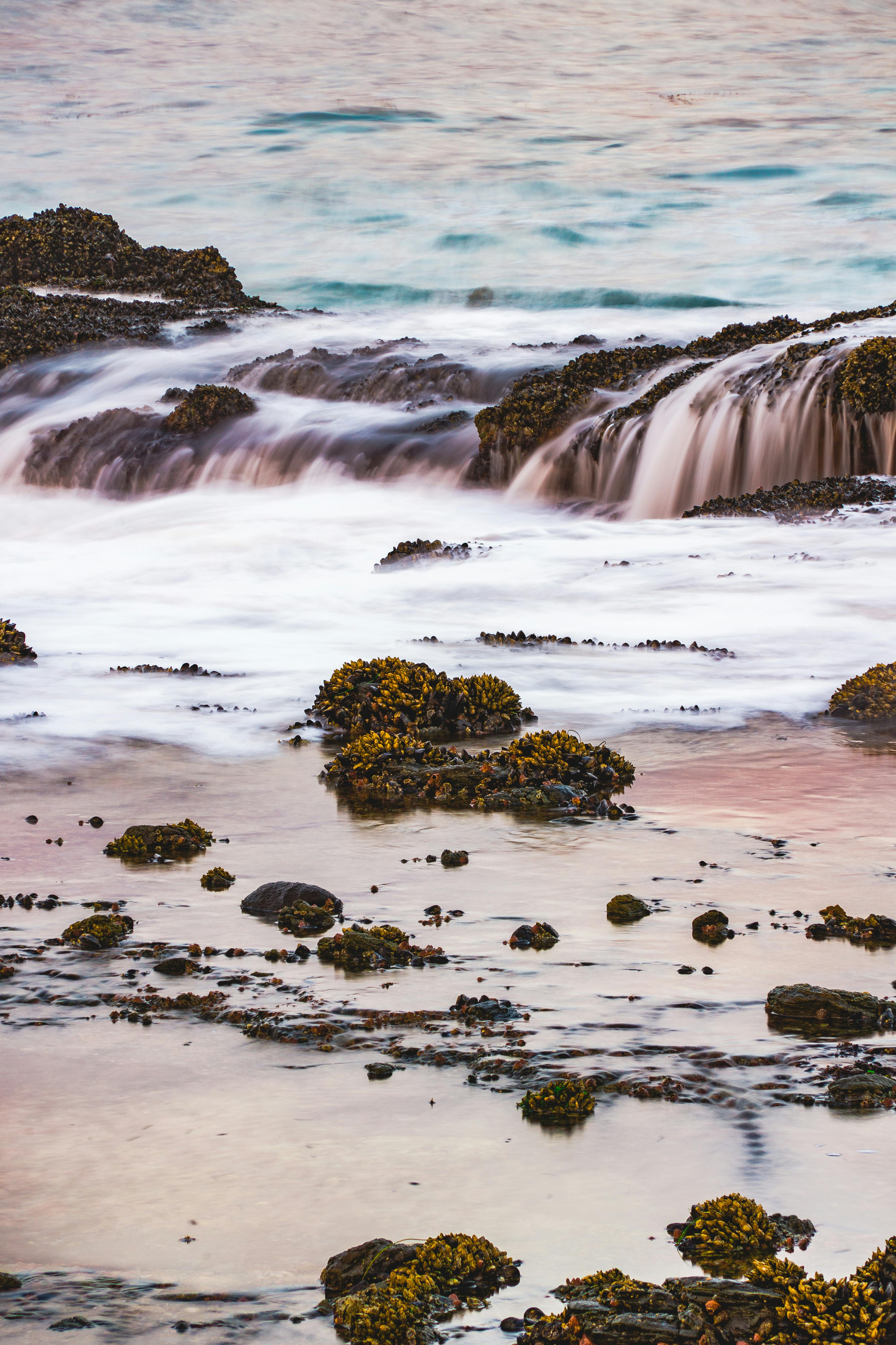Free stock photo of laguna beach, long exposure, marine life