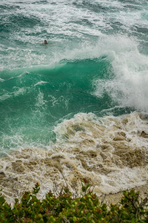 オーシャンビュー, サーフィン, ラグナビーチの無料の写真素材