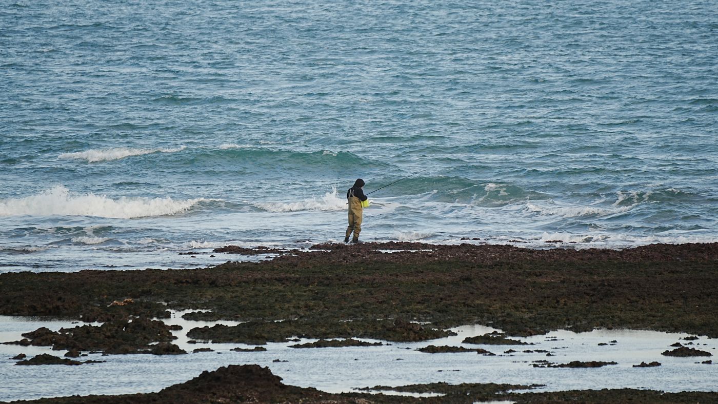 Saltwater Inshore Fishing: Tides, Position, and Reading the Water