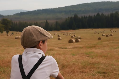 Gratis stockfoto met boerderij, heuvels, jongen