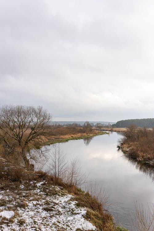 Immagine gratuita di fiume, inverno, natura