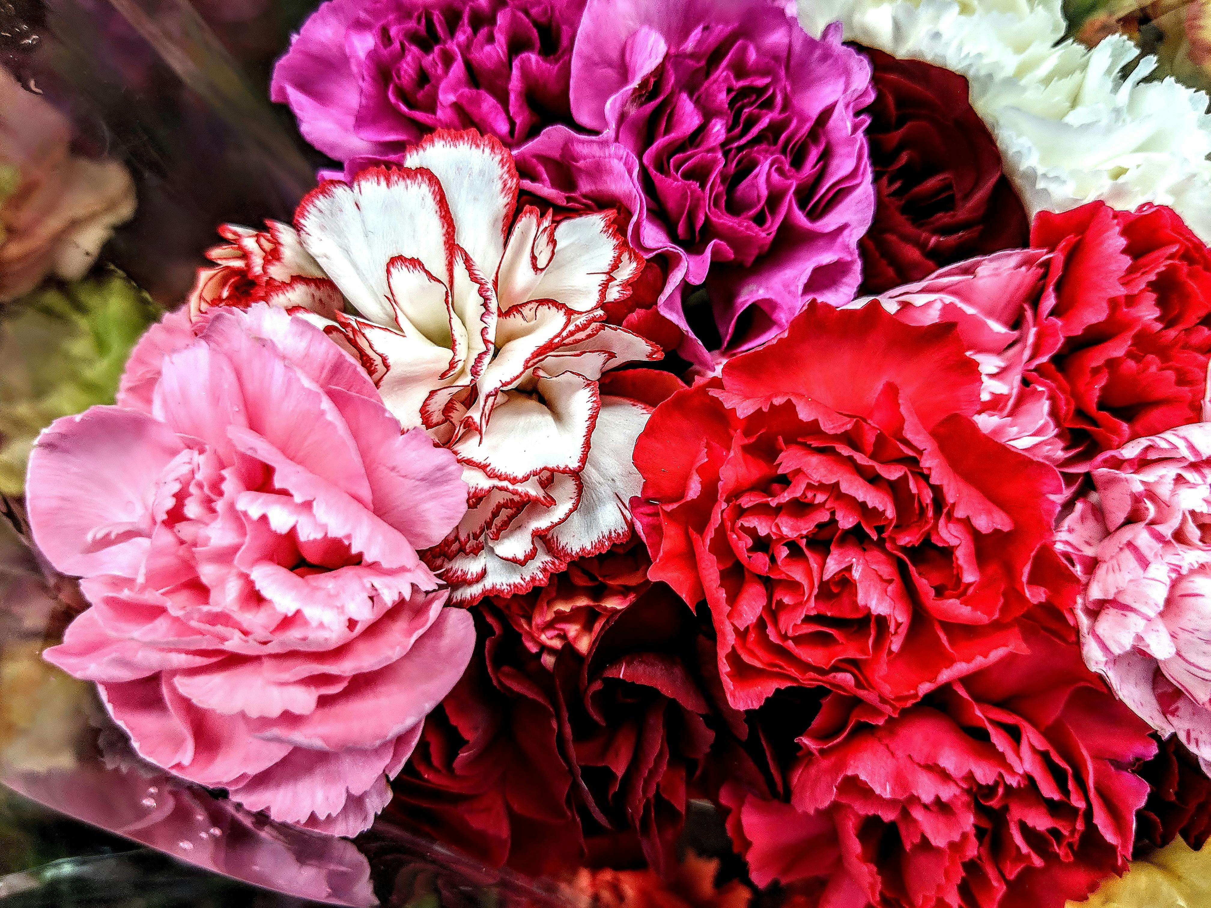 Free stock photo of beautiful flowers, bouquet, red pink bouquet