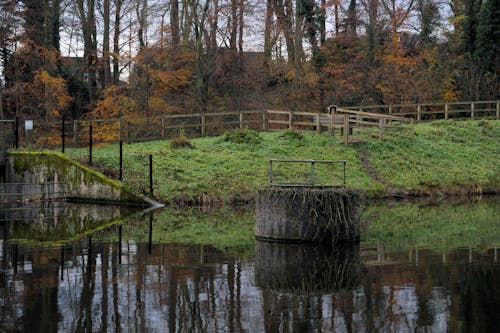 Pond and Trees on Autumn Park
