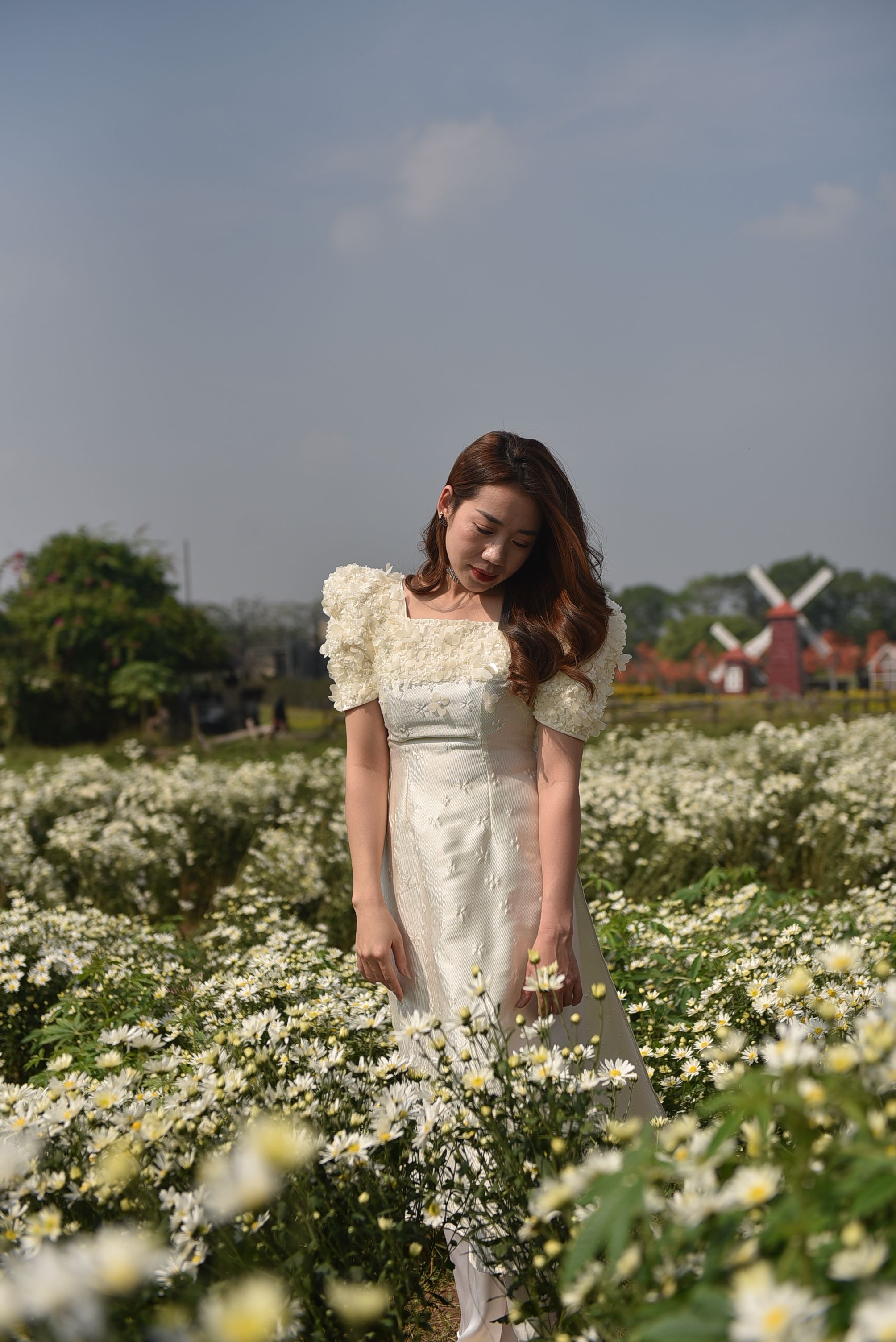 Woman Standing in a Field of Flowers · Free Stock Photo