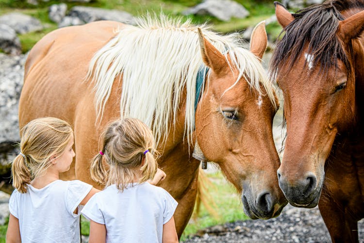 Little Girls Playing With Horses