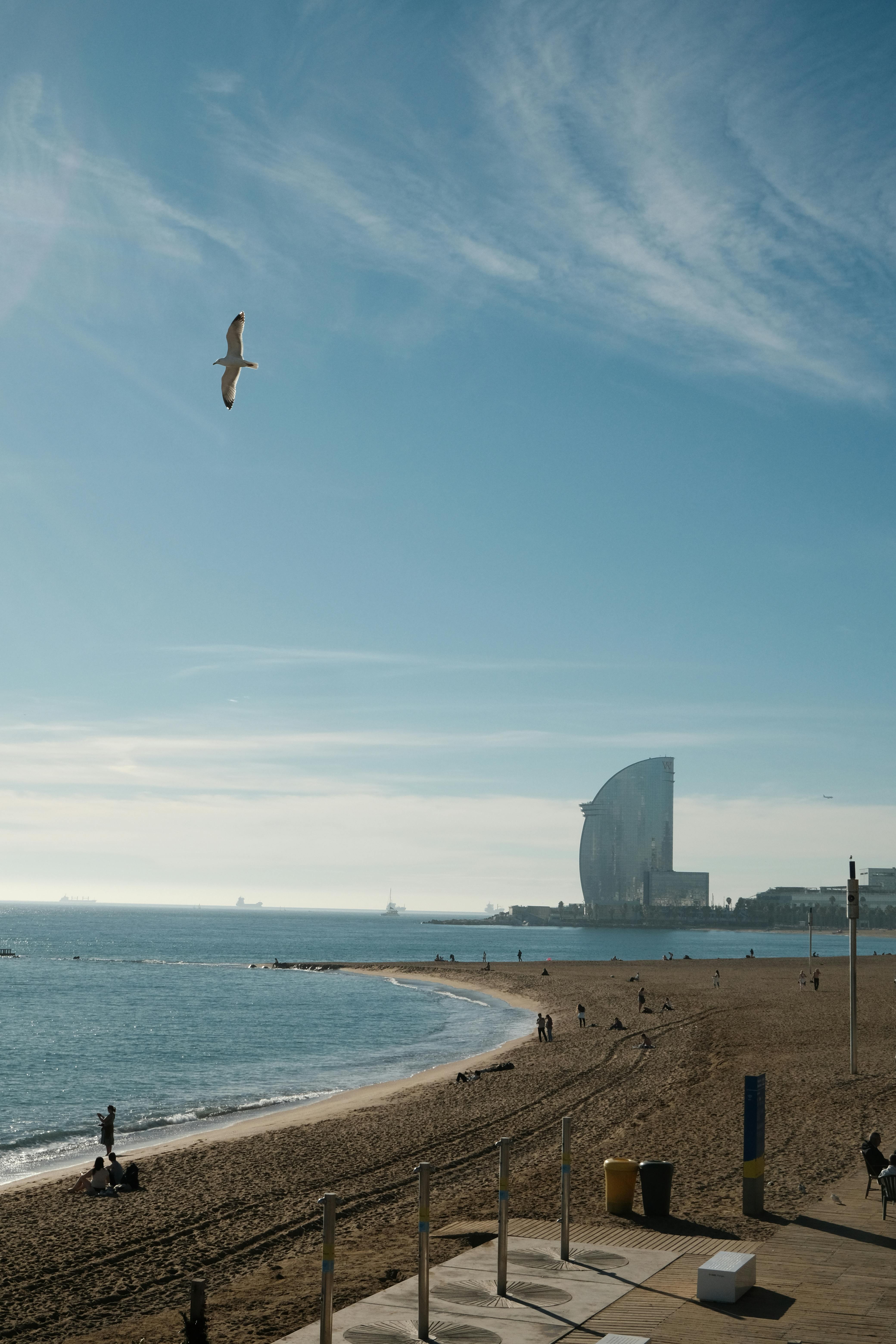 beach on the shores of barcelona with