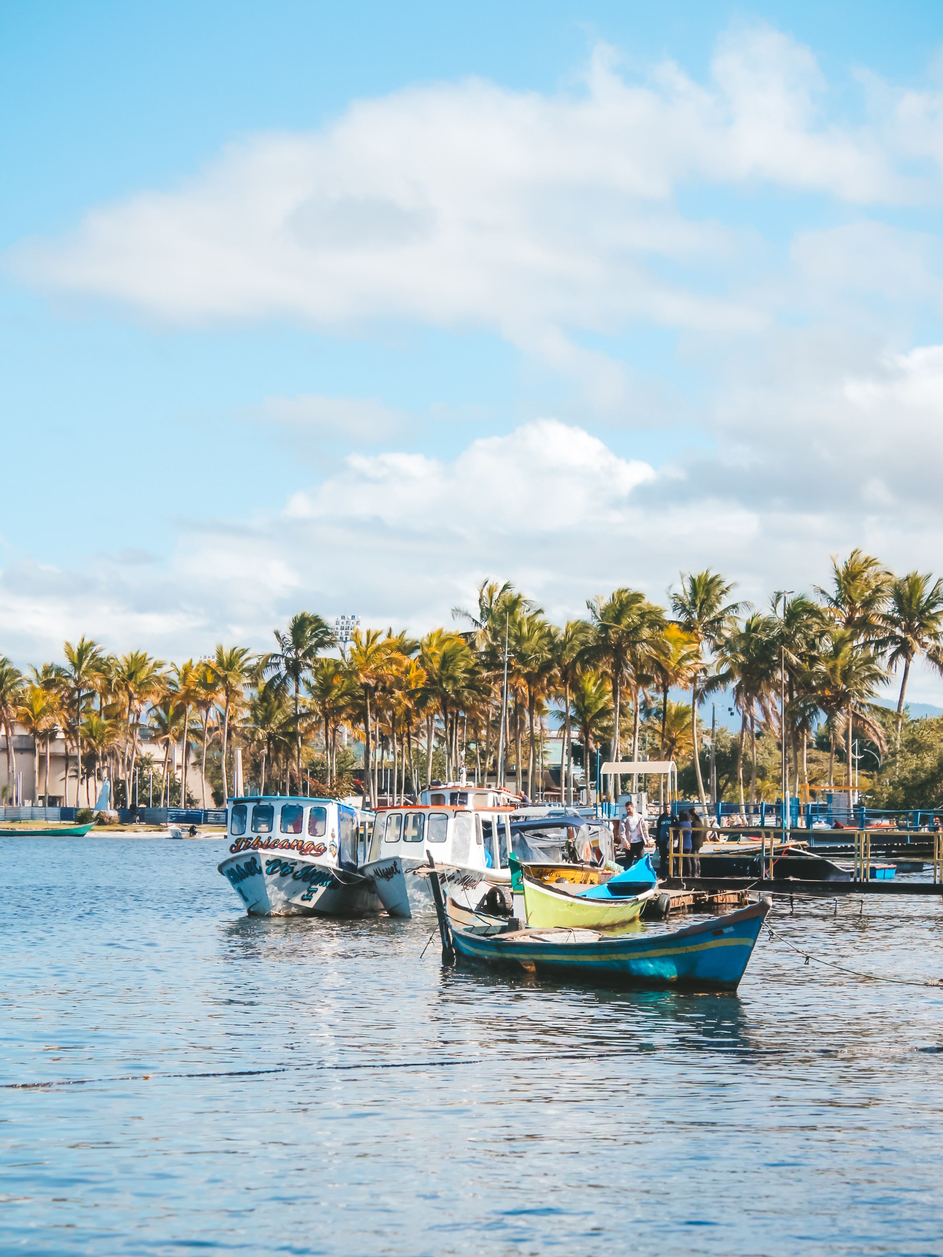 A boat is docked in the water near palm trees · Free Stock Photo