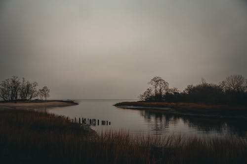 Ilmainen kuvapankkikuva tunnisteilla järvenranta, järvi, maisema