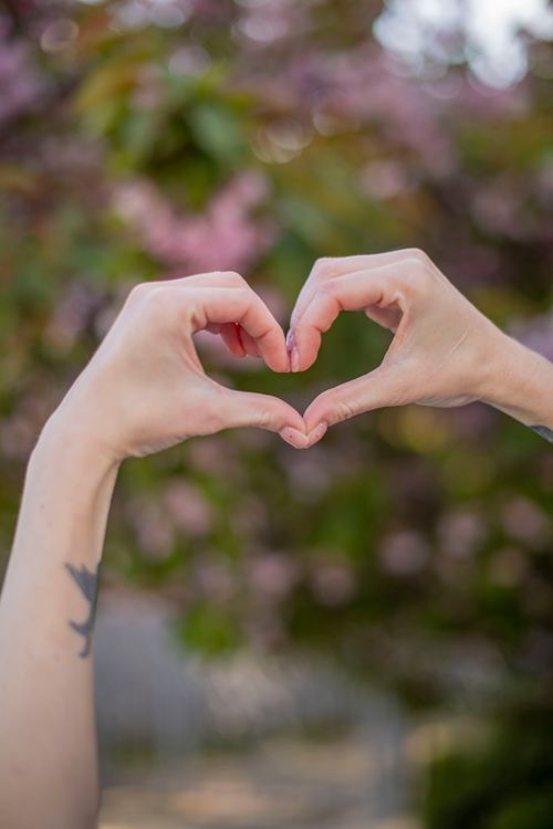 Free Hands forming a heart shape against a blurred park background in summer. Stock Photo