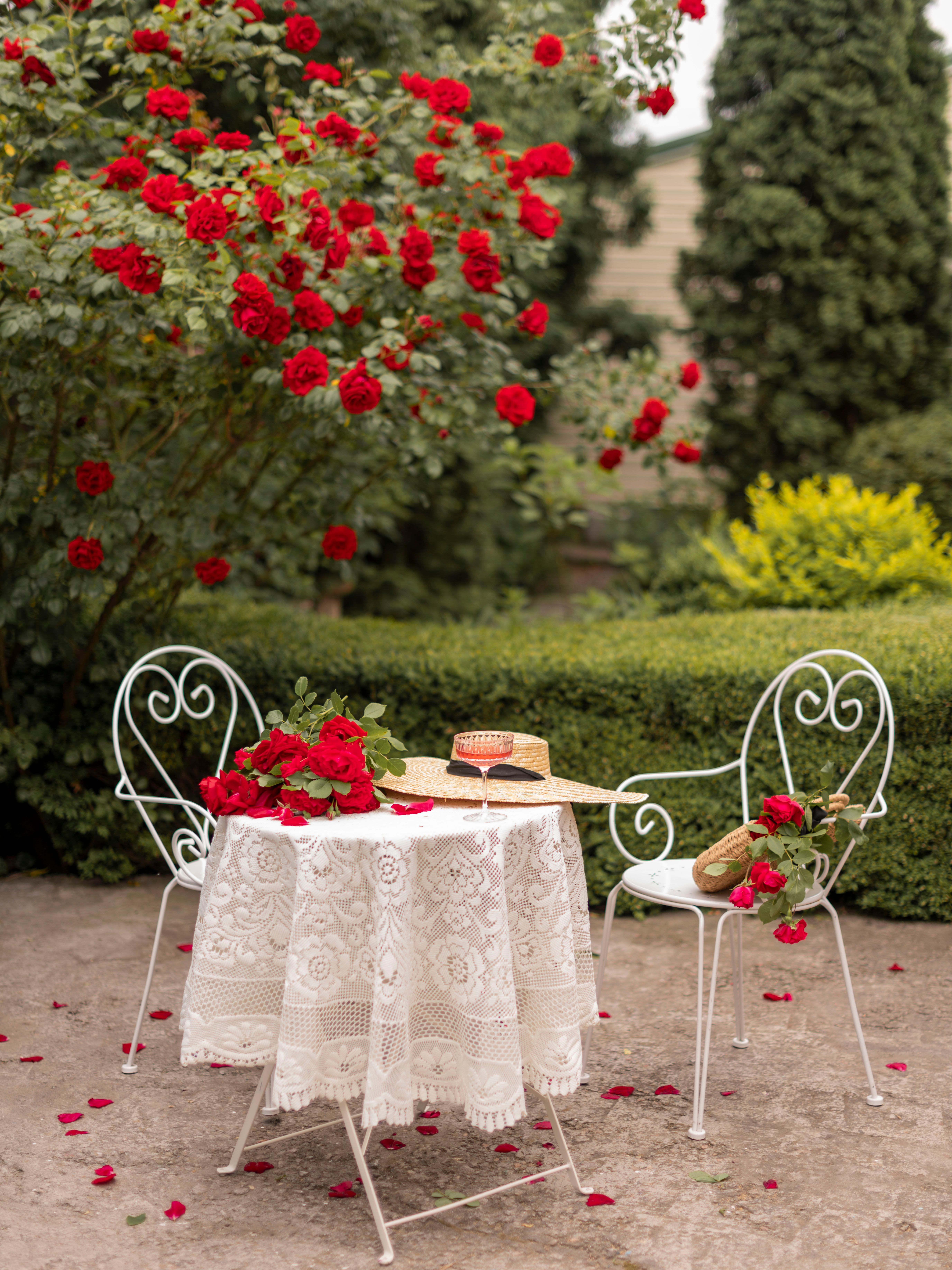 A table with white table cloth and roses · Free Stock Photo