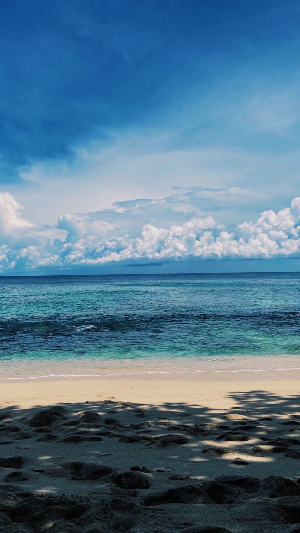 Linda vista de uma praia tropical e mar azul claro em Papua, Indonésia.