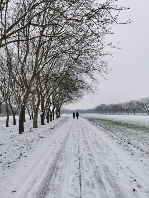 Two people walking along a snow-covered path bordered by trees in winter.