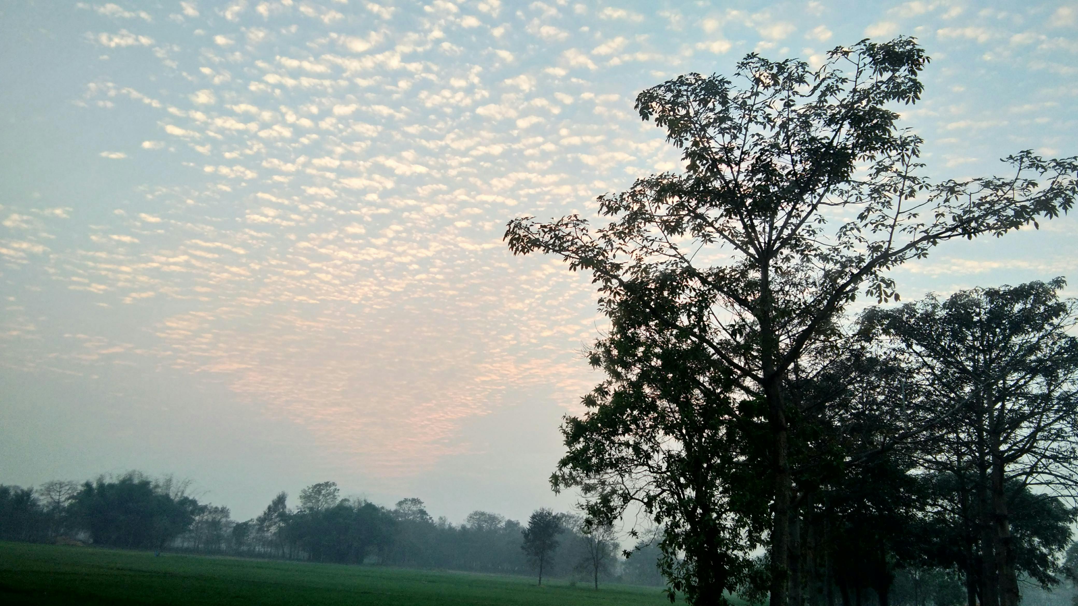 Pemandangan Langit Mendung Gambar Viral HD 