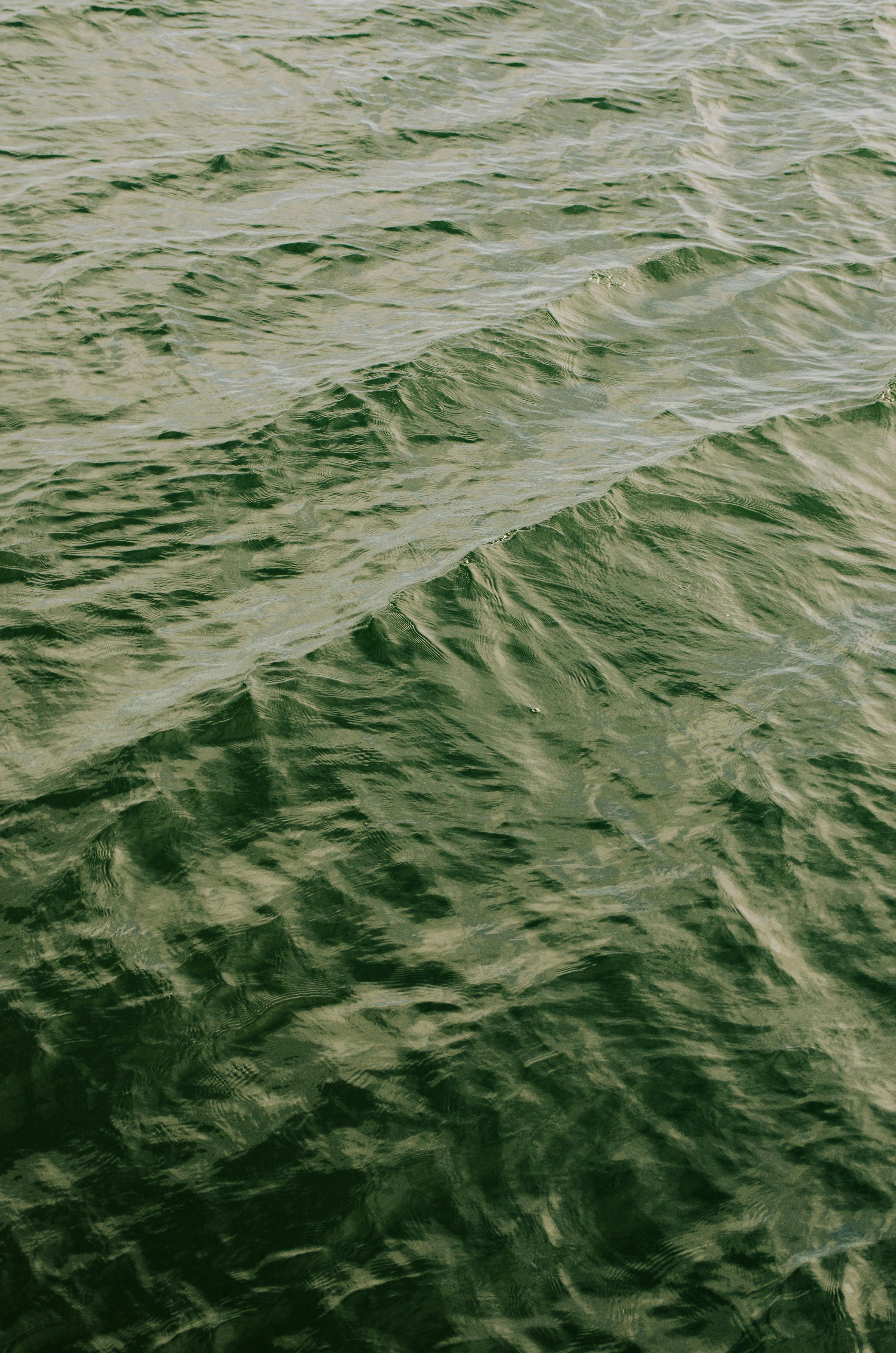 A serene view of green ocean waves in motion, perfect for nature-themed designs.