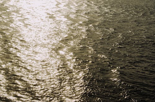 Základová fotografie zdarma na téma čeření, lesknoucí se, moře