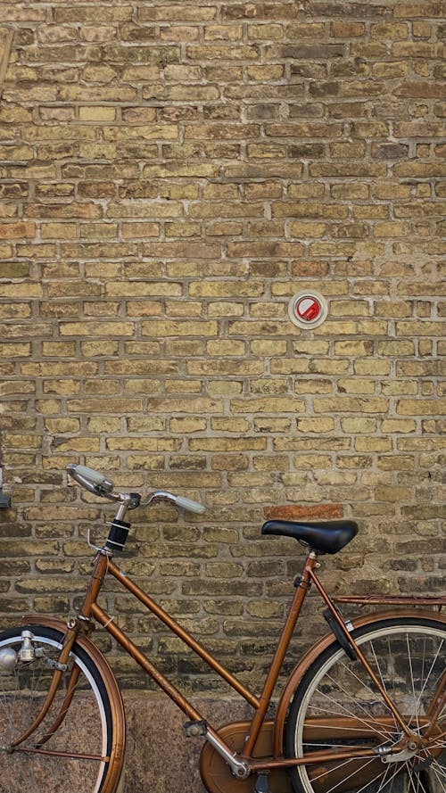 Bike in Front of a Brick Wall 