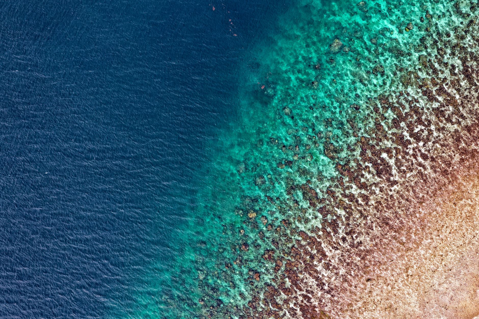 Iran Klaim Berhasil Tangkap Drone Bawah Laut Milik Amerika Serikat