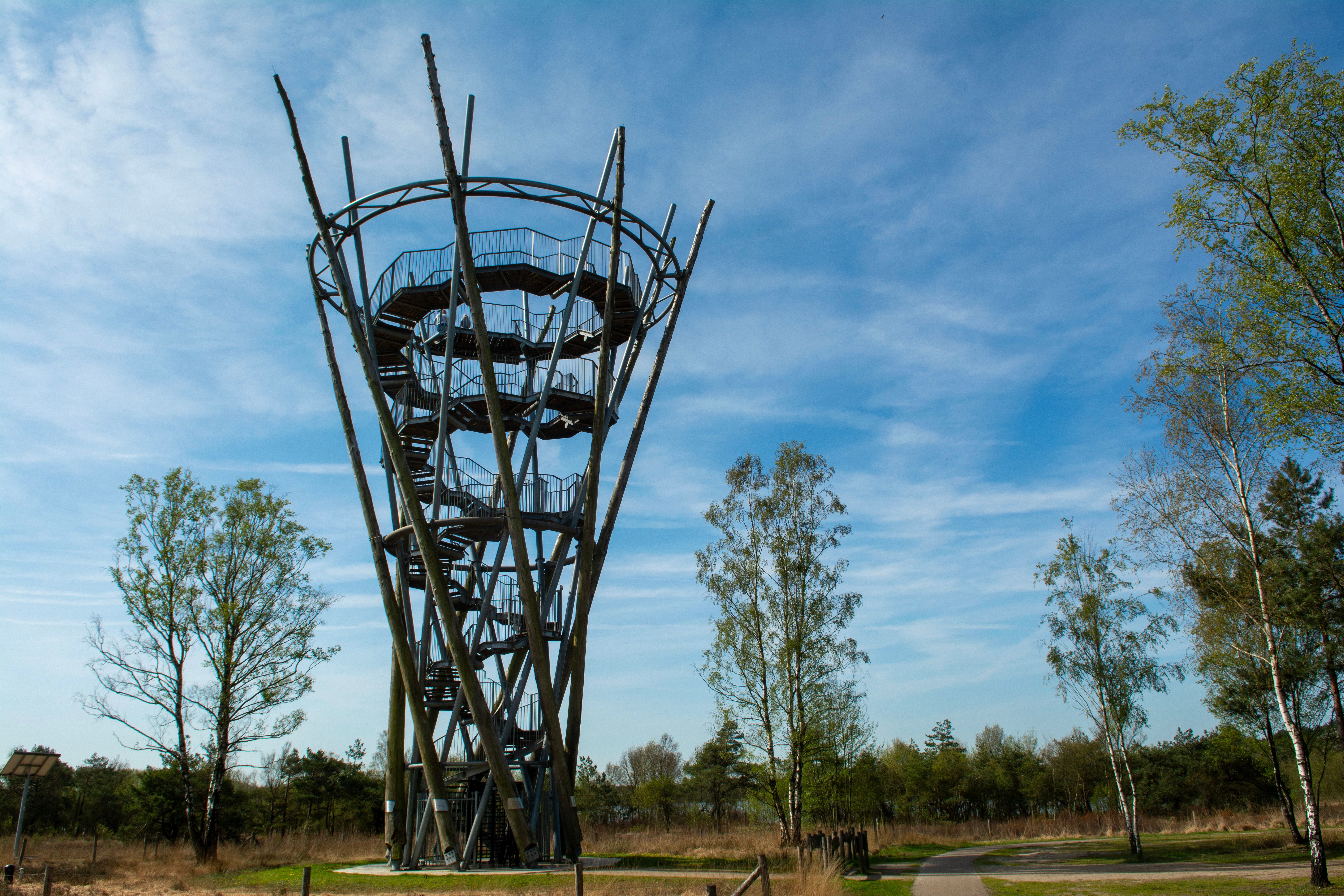 De Esch Natuurgebied