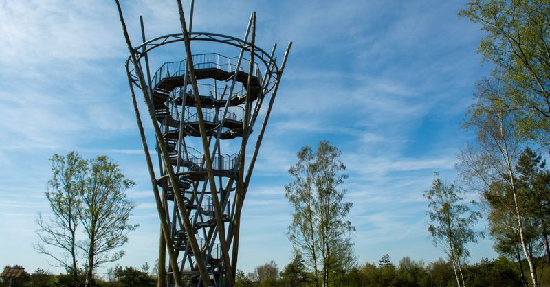 Tour d’Observation : Top 10 Modèles 2026