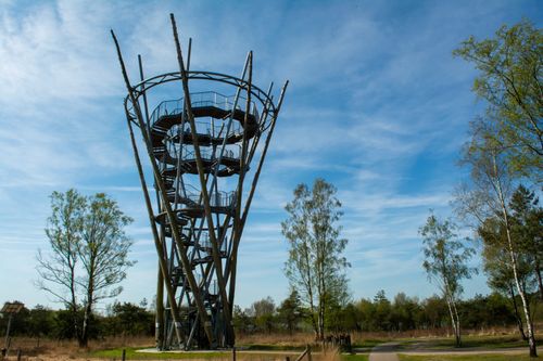 Free Tall steel observation tower amidst trees and blue sky, capturing modern architecture. Stock Photo