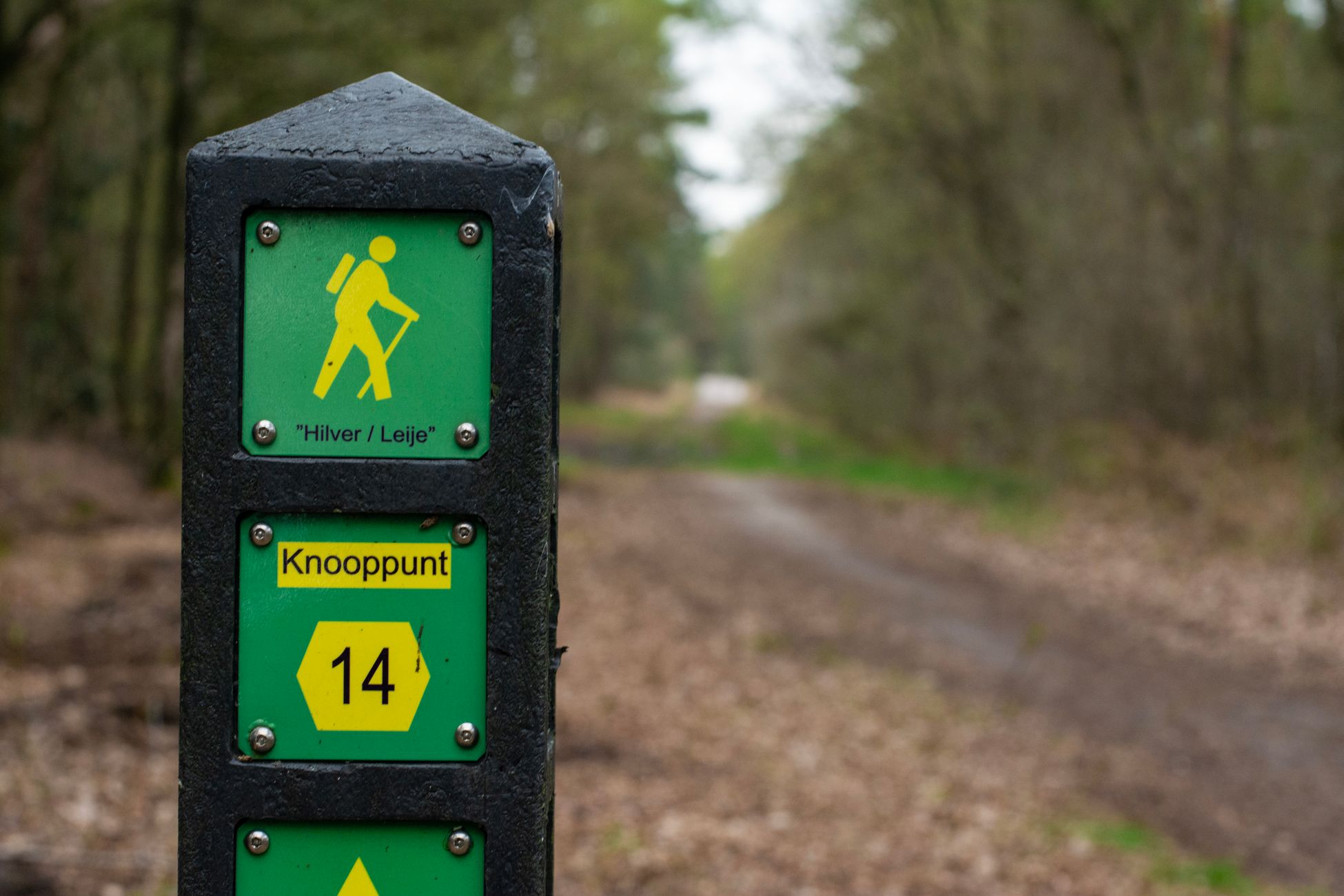 Financieel tekort bij natuurstichting De Rollen in Sittard-Geleen