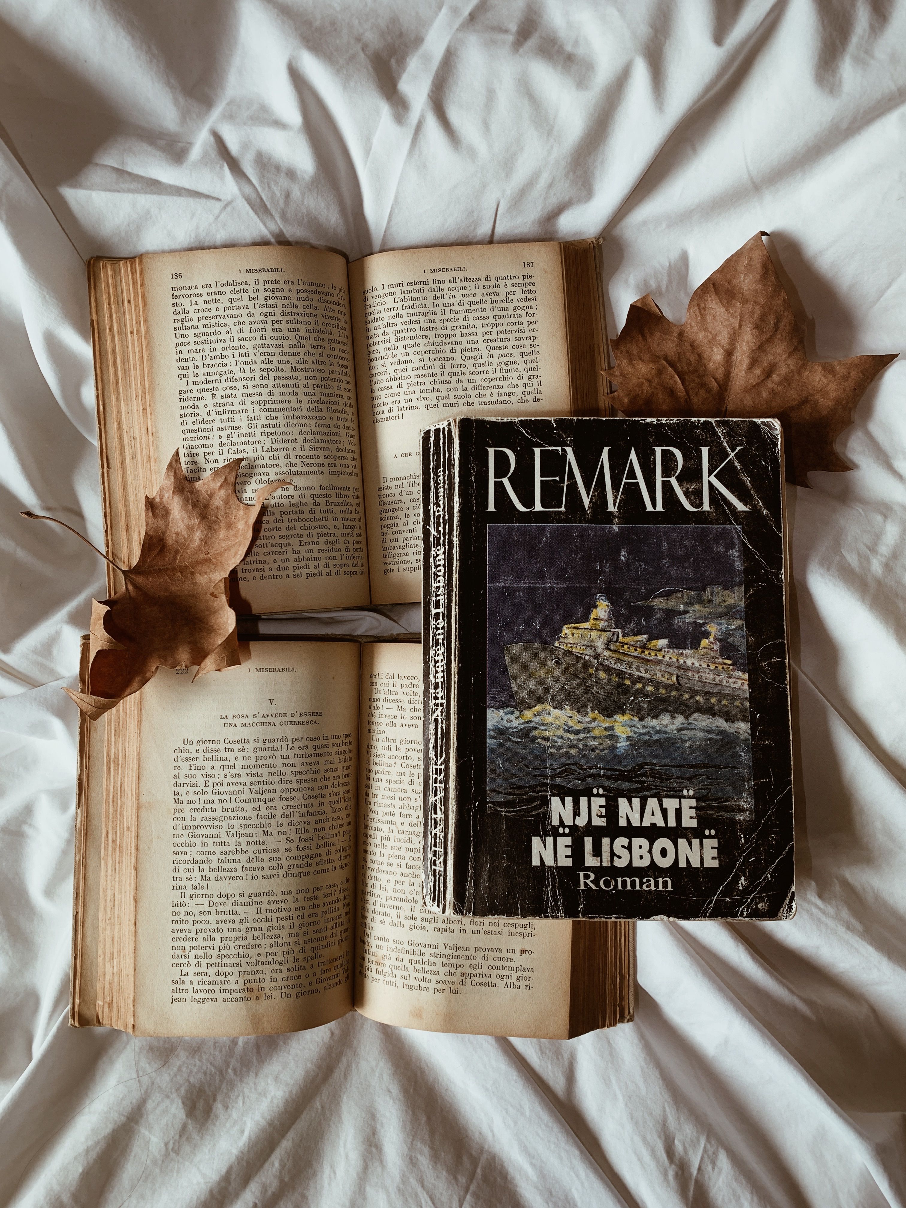 Old books and autumn leaves create a cozy aesthetic in a vintage indoor setting.