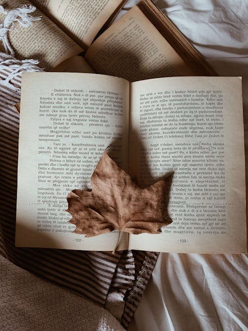 Rustic Book and Autumn Leaf