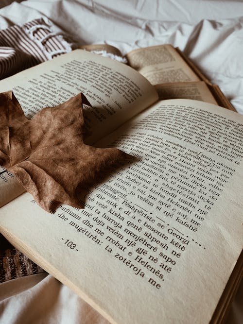 Darmowe zdjęcie z galerii z jesienny liść, kompozycja, książka