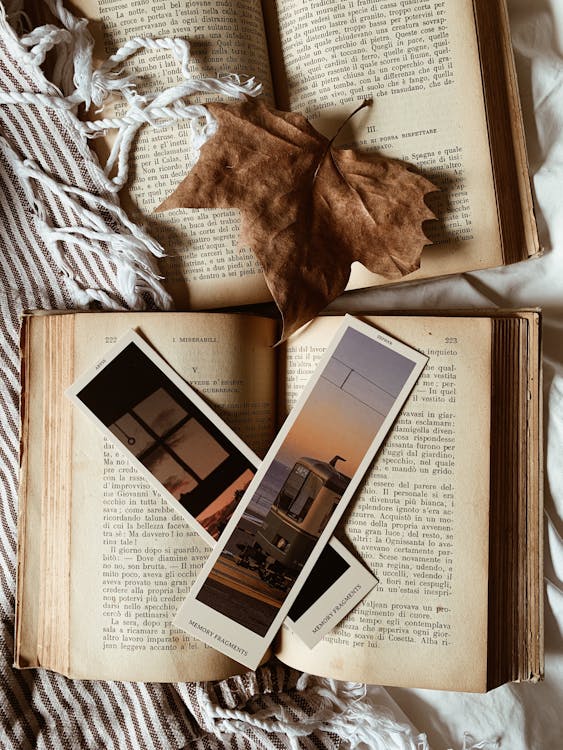 Free Rustic Books and Bookmarks Stock Photo