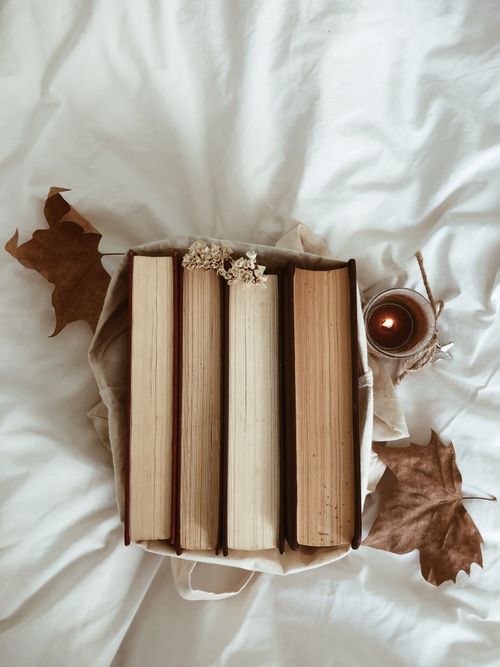 Free A warm, cozy setup with books and candle on a bed amid autumn leaves. Stock Photo