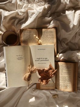 Warm sunlight over books and coffee on a cozy bed, creating a serene reading atmosphere. — photo by Book Hut