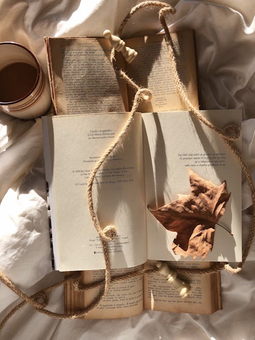 Rustic Books and Autumn Leaves 