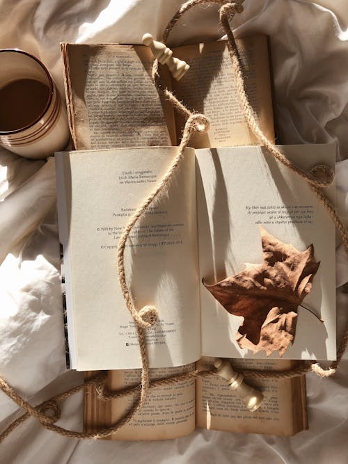 Free Book Coffee and Leaf on a Bed  Stock Photo