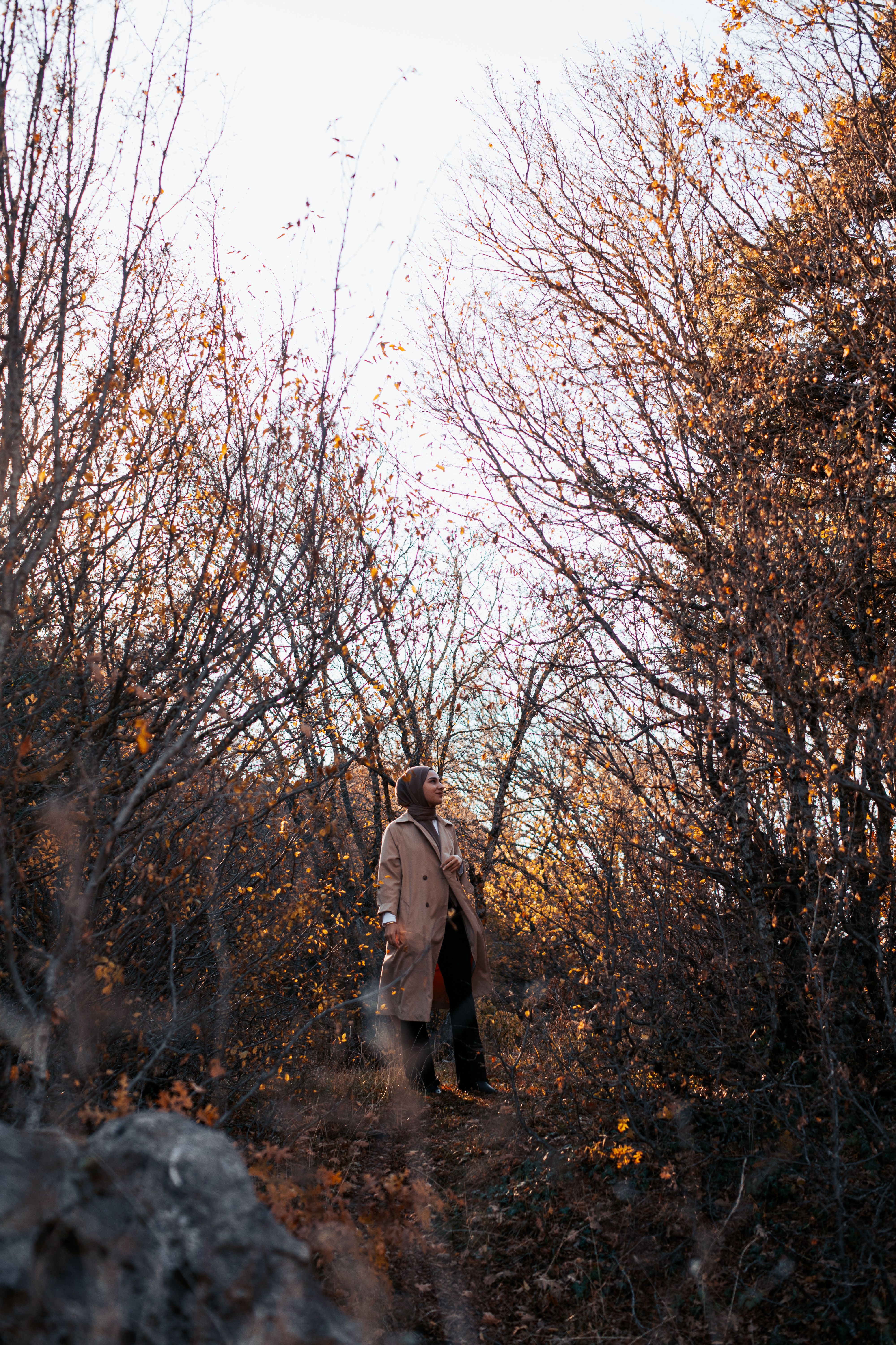 Woman Wearing Coat in a Forest in Fall · Free Stock Photo