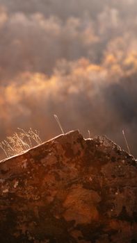 Close-up of a rugged rock formation with warm sunlight and soft focus background.